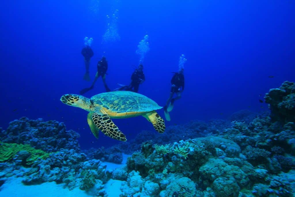 Resort Concierge Escapes Shares Top Perks Of Memberships (3)